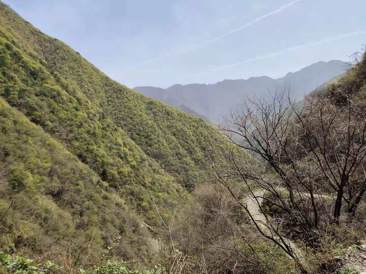 團建，春到老縣城。(圖2)