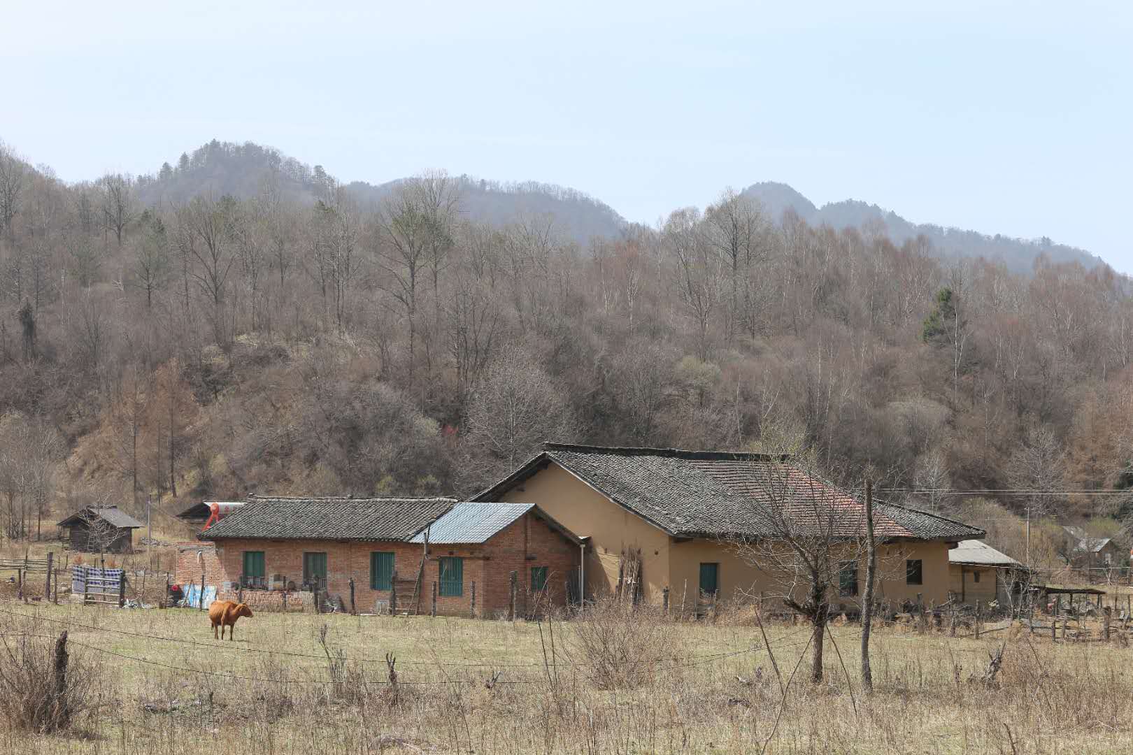 團建，春到老縣城。(圖12)